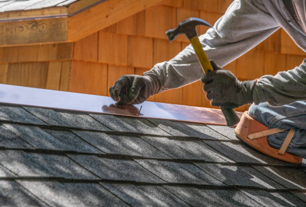 Best Solar Panel Roofing Installation  in Winterville, NC