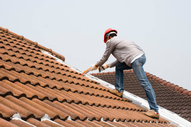 Professional Roofing services in Winterville, NC